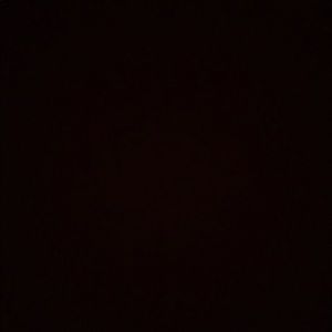 Meet your Posher, Judy